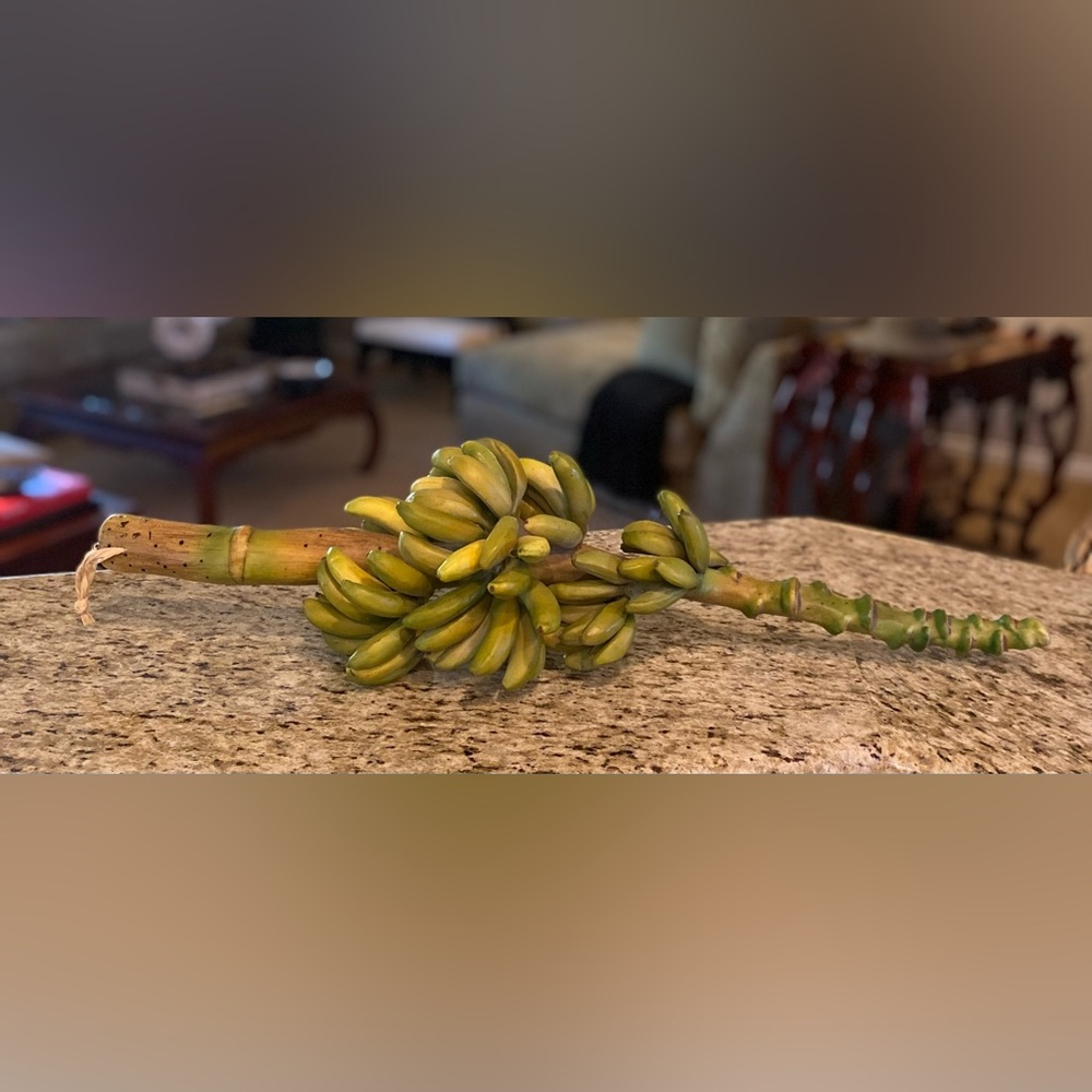 Tropical Faux Bananas